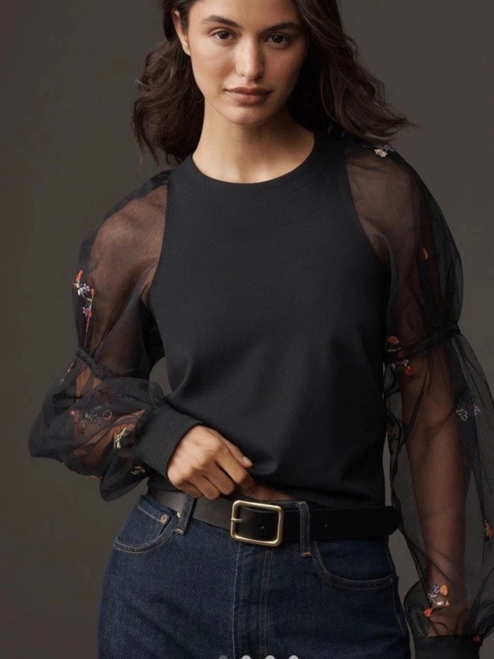 Anthropologie Maeve Sheer & embroidered sleeve pullover NWT